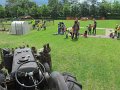 055 (5)
